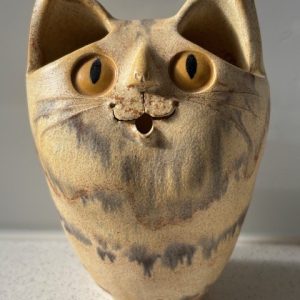 Schaer Cat